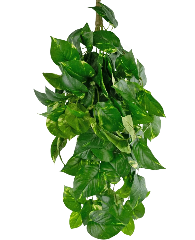 Kunst hangplant Golden Vine Deluxe 80 cm