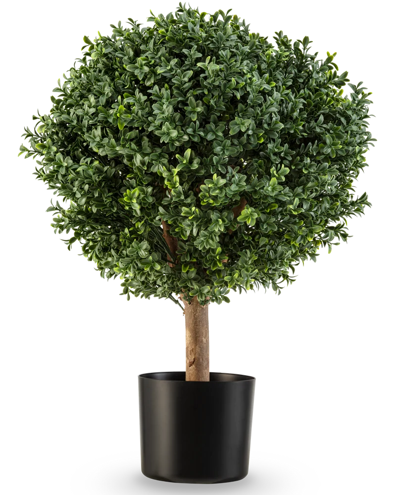 Kunstplant Buxus op stam romeinse stijl UV 65cm