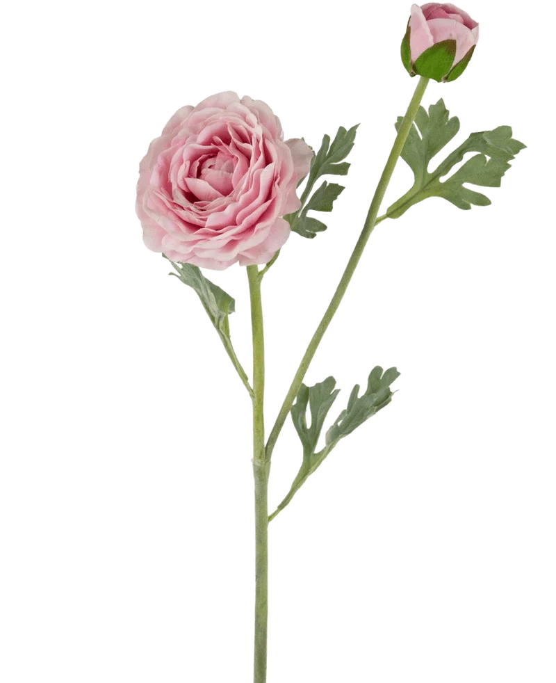 Kunstranonkel Real Touch Roze 60cm
