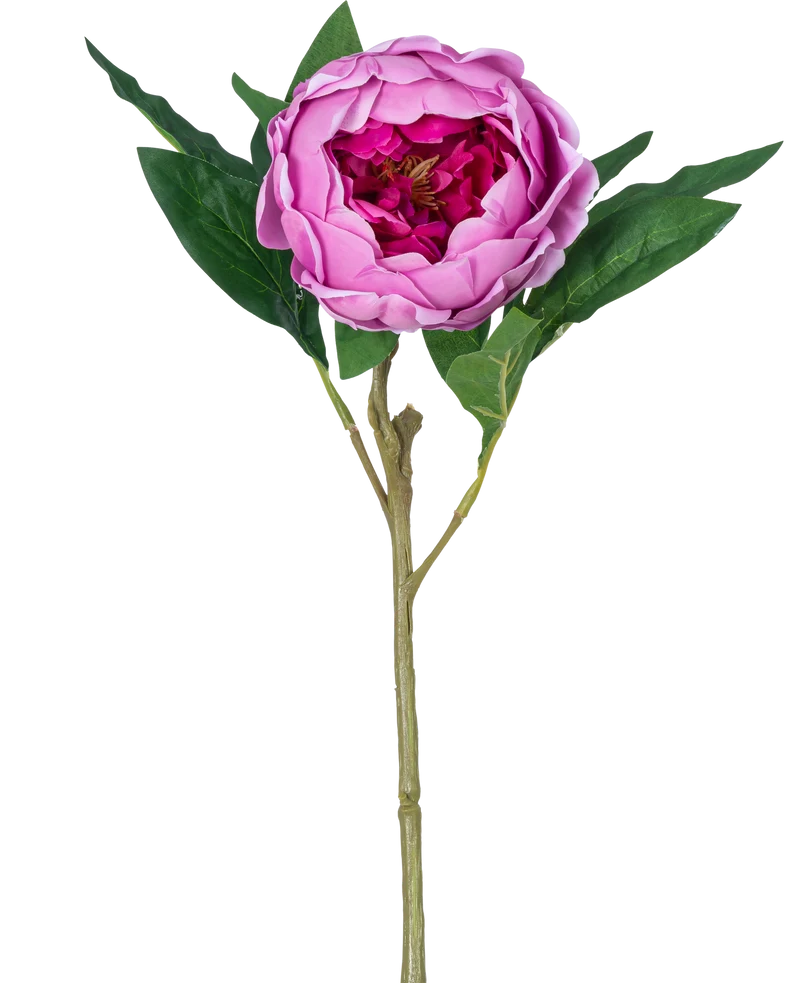 Kunstbloem Lotus pioenroos Real Touch paars 58 cm