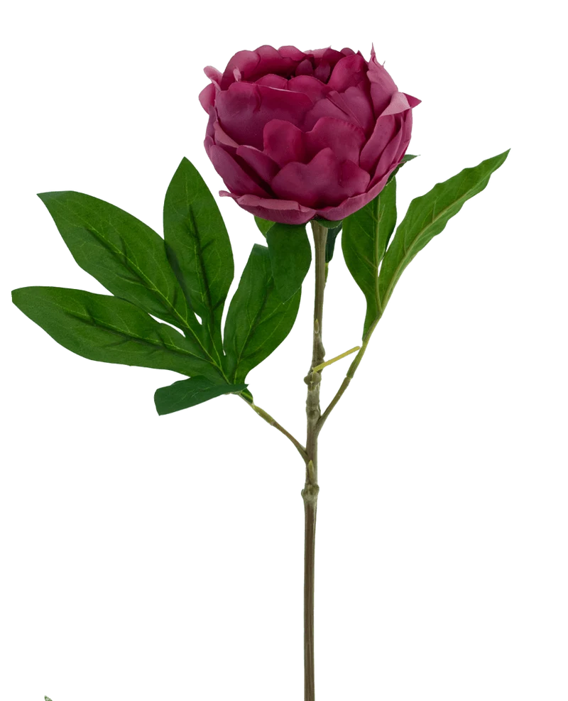 Kunstbloem Lotus pioenroos Real Touch rood 58 cm