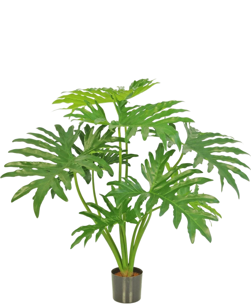 Kunstplant Philodendron 80 cm