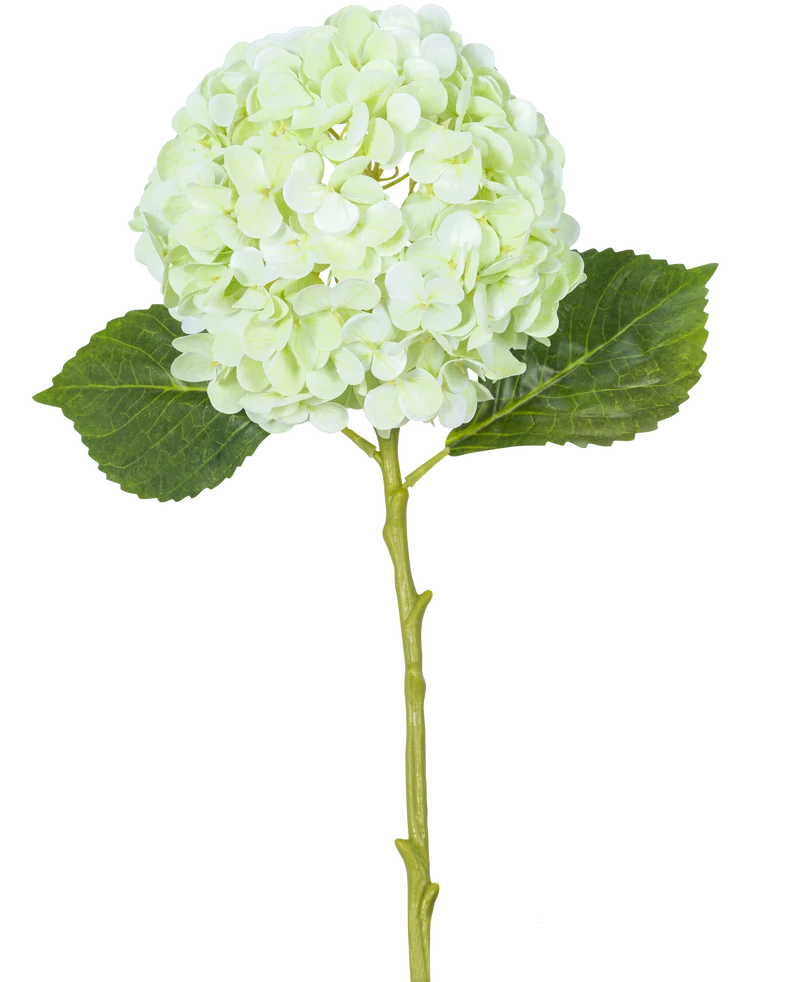 Kunstbloem Hortensia Real Touch Lichtgroen 49 cm