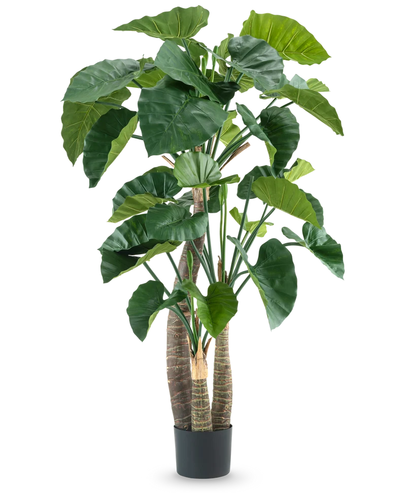 Kunstplant Alocasia 180 cm
