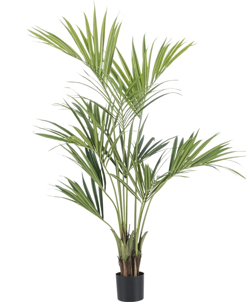 Kunstplant Kentia Palm 150 cm