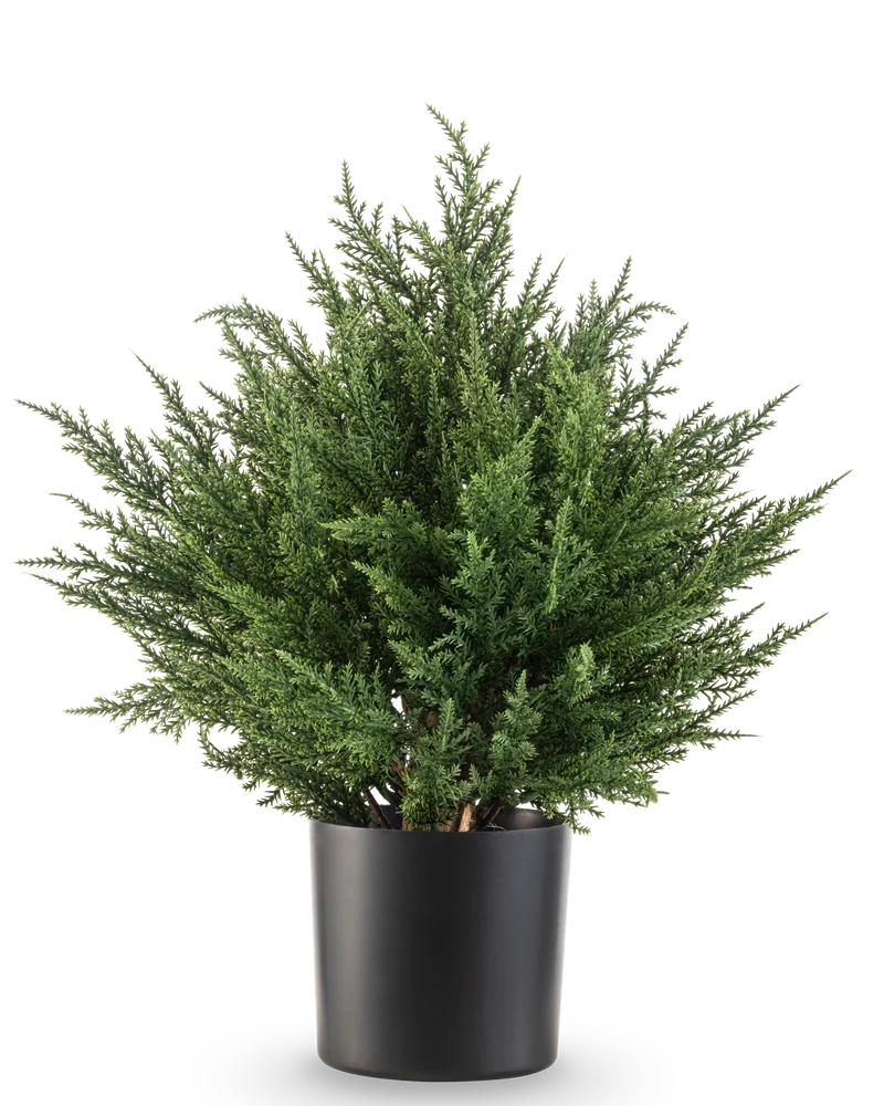 Kunstplant Conifeer UV 40 cm