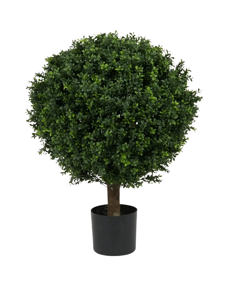 Kunstplant Buxus op stam romeinse stijl UV 85cm