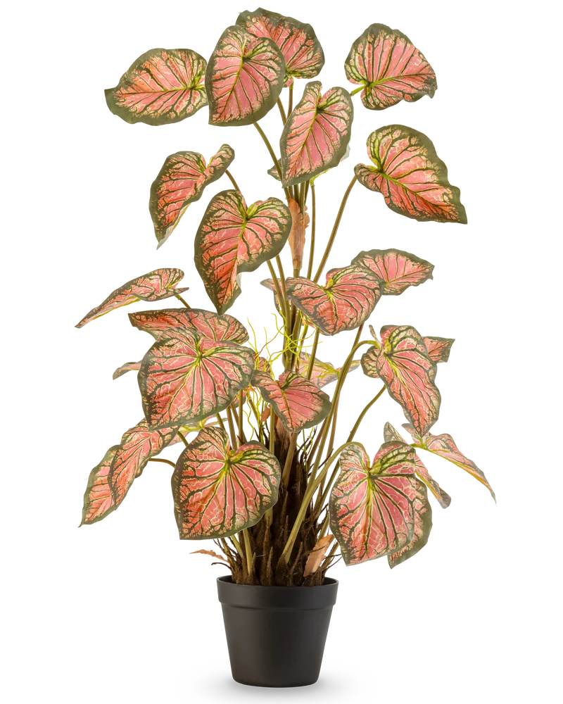 Kunstplant Caladium 90 cm roze