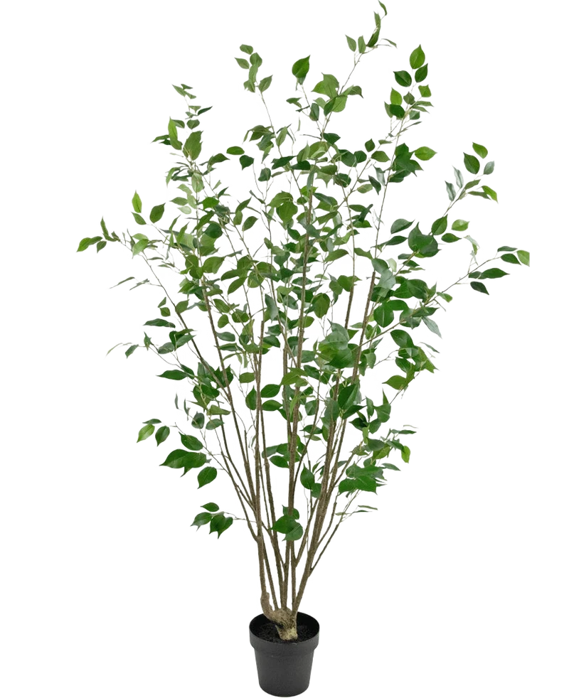 Kunstplant Ficus 180 cm