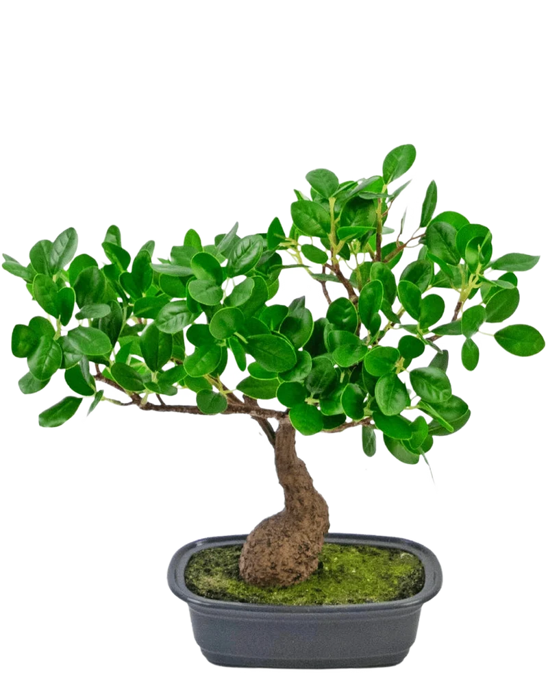 Kunstplant Bonsai Ficus 30 cm