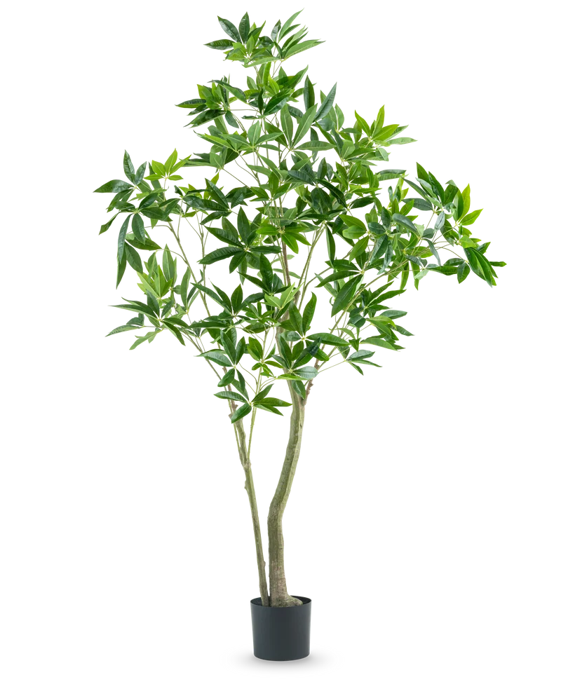 Kunstplant Pachira 180 cm