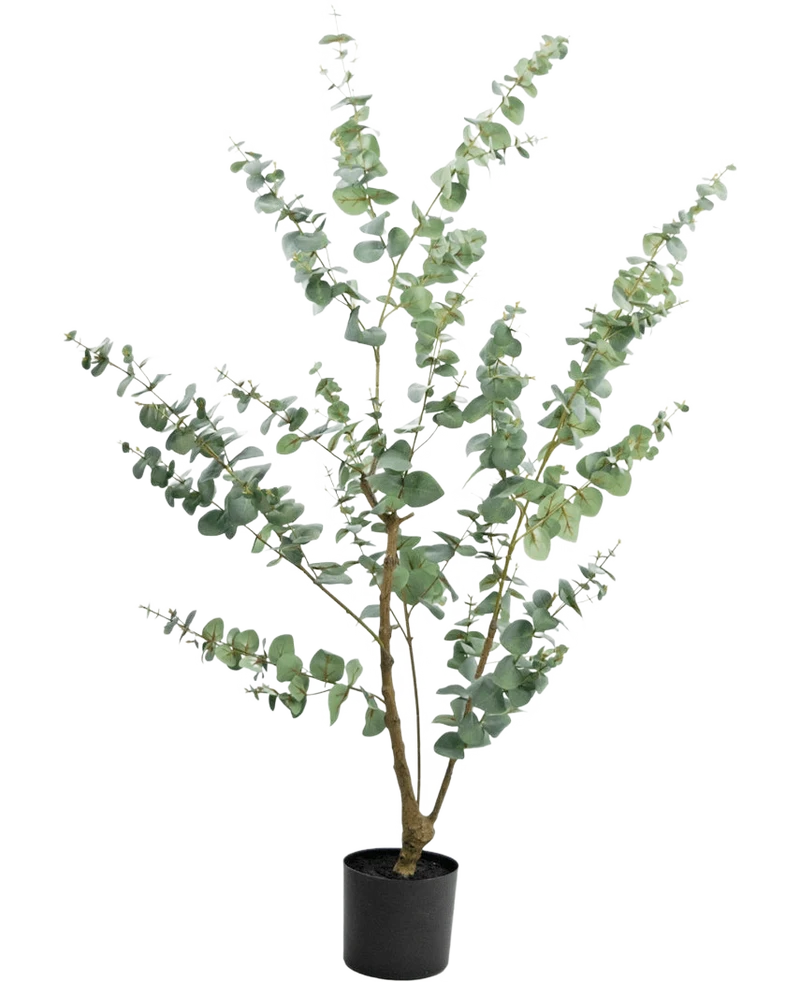 Kunstplant Eucalyptus 150 cm