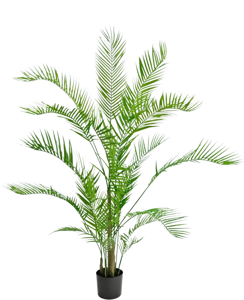 Kunstplant Chamaedorea 150 cm