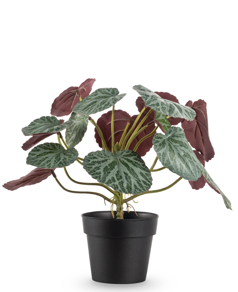Kunstplant Saxifraga 27 cm