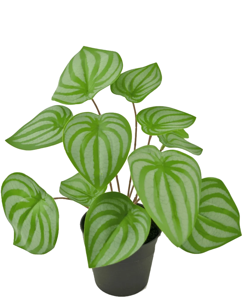 Kunstplant Watermeloen 29 cm