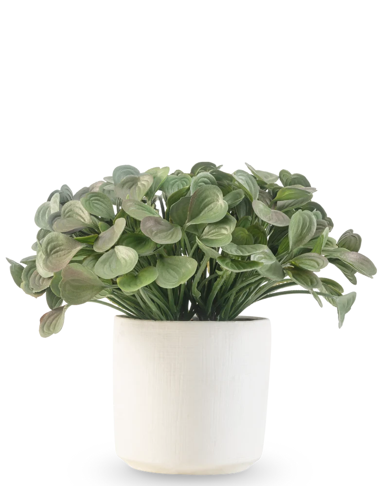 Kunst vetplant 22 cm in sierpot