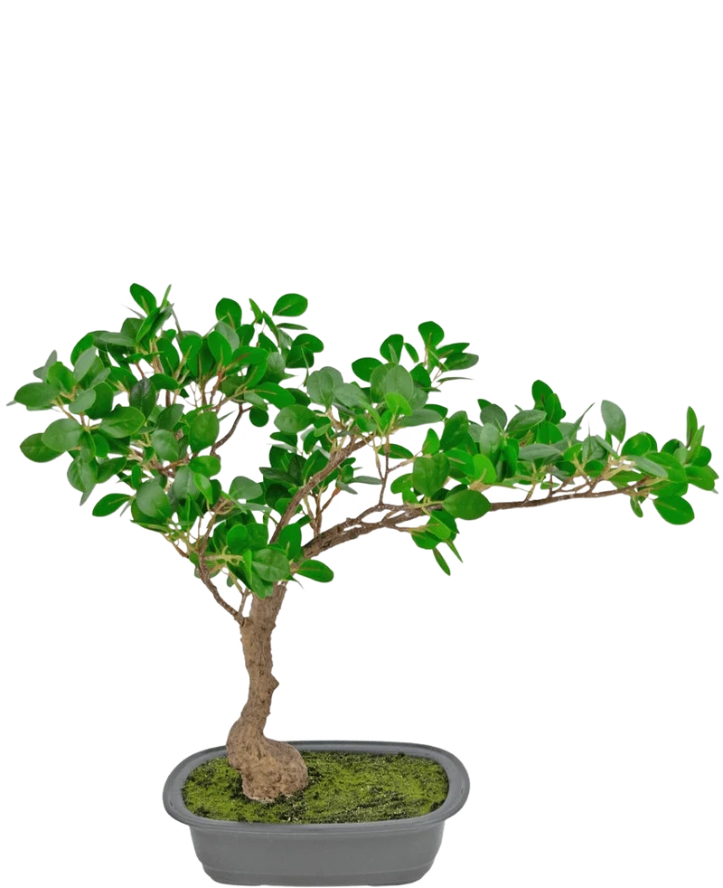 Kunstplant Bonsai Ficus 40 cm