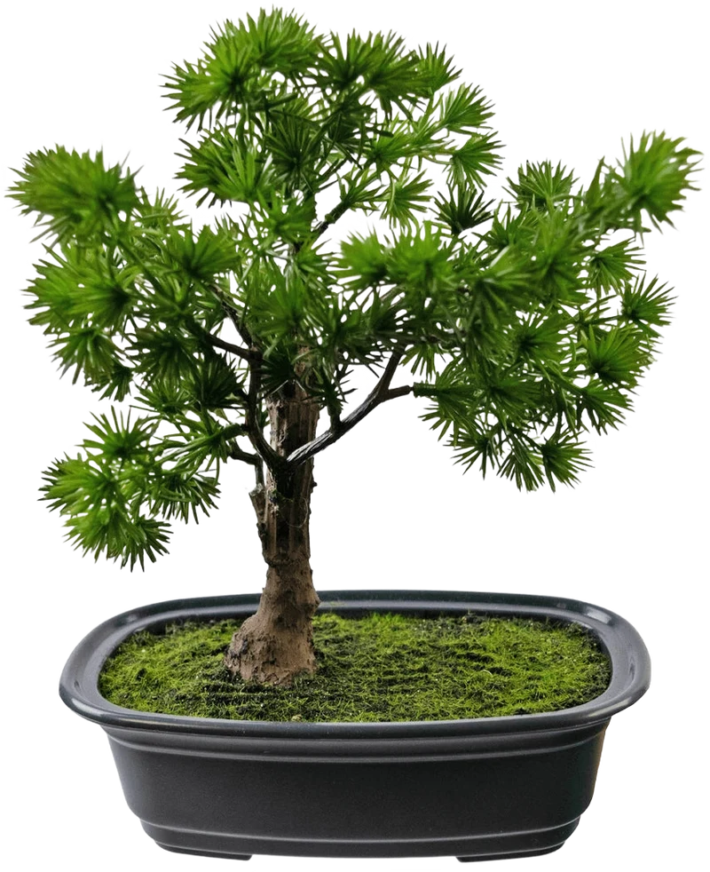Kunstplant Bonsai Juniper 20 cm