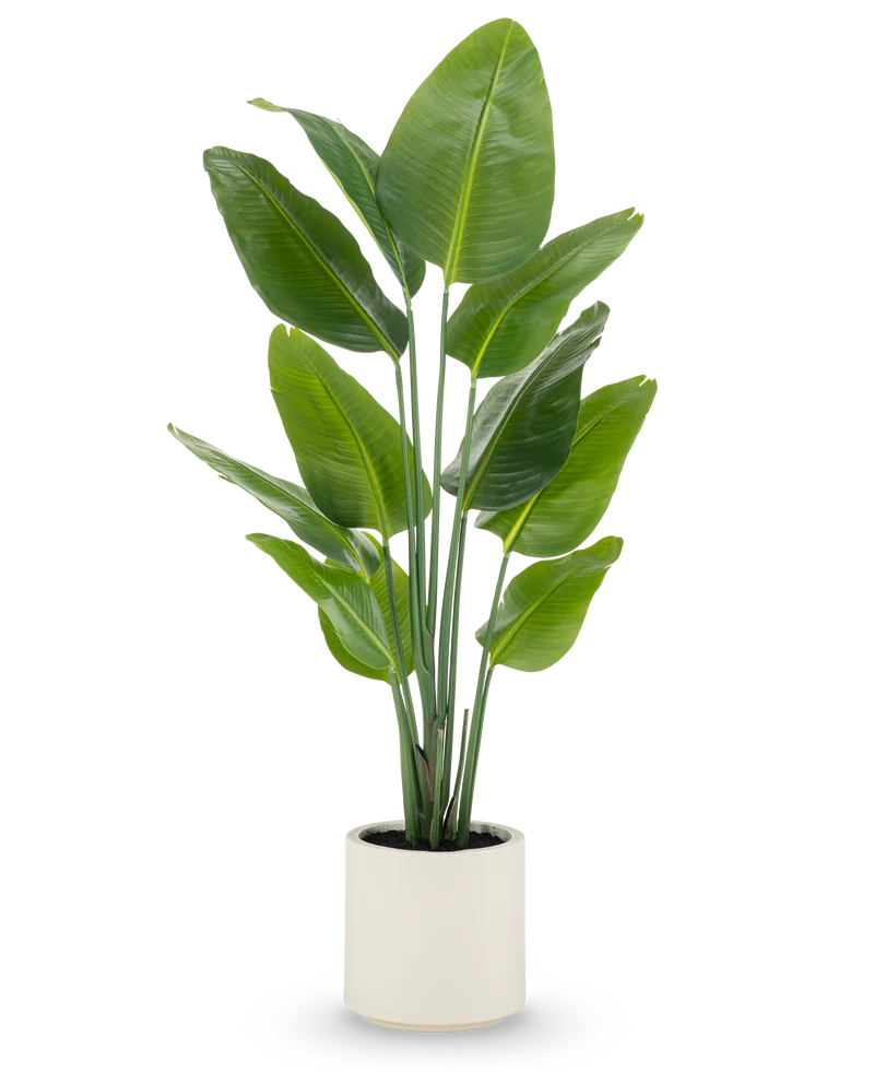 Kunstplant Strelitzia Real Touch kant en klaar in pot beige 150 cm