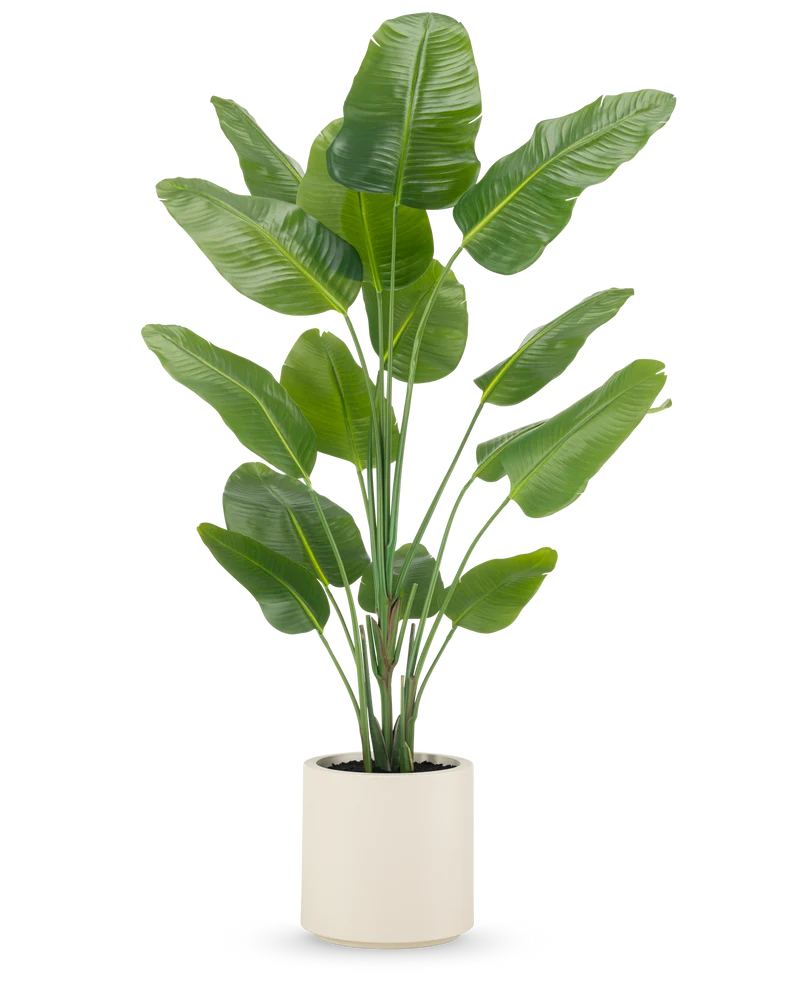 Kunstplant Strelitzia Real Touch kant en klaar in pot beige 180 cm