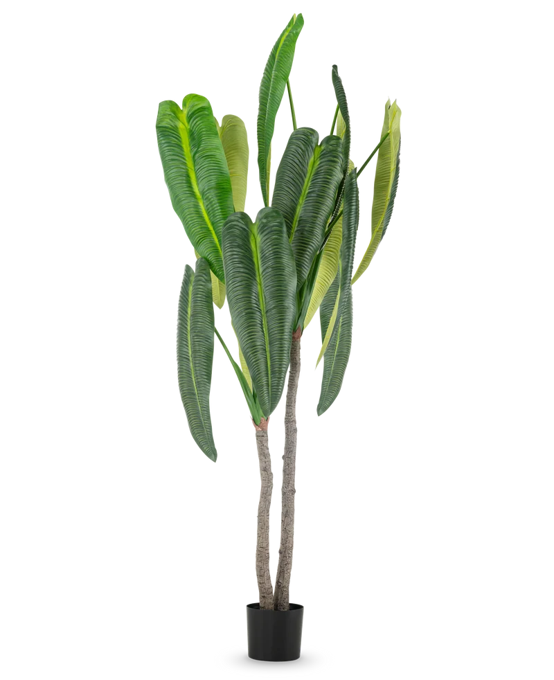 Kunstplant Anthurium 210 cm