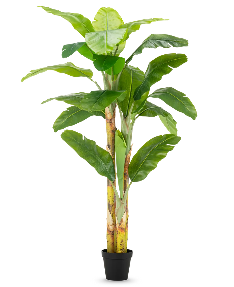 Kunstplant Bananenboom 230 cm