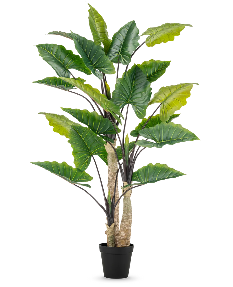 Kunstplant Alocasia 240 cm