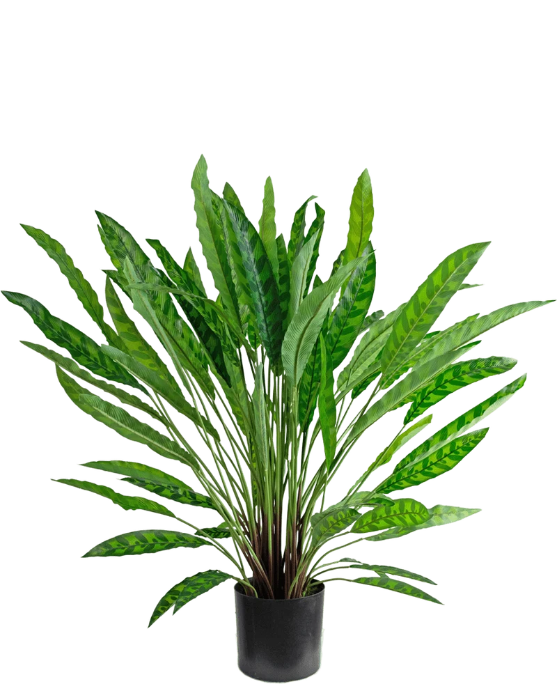 Kunstplant Calathea 85 cm