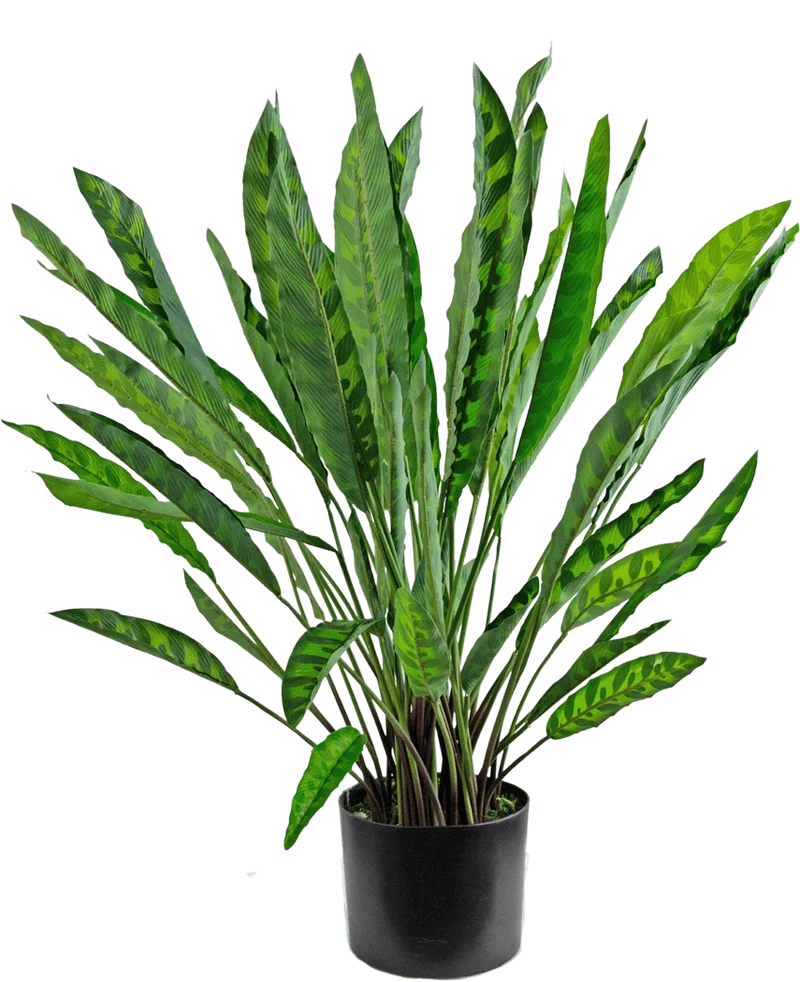 Kunstplant Calathea 60 cm