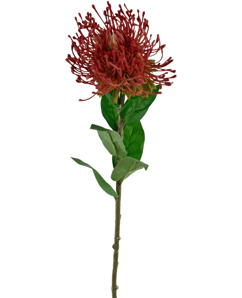 Kunstbloem Protea 73 cm rood