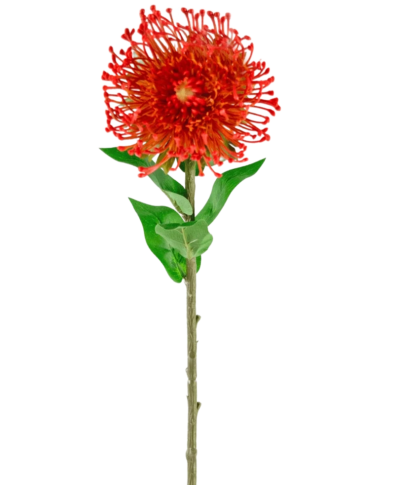 Kunstbloem Protea 73 cm rood
