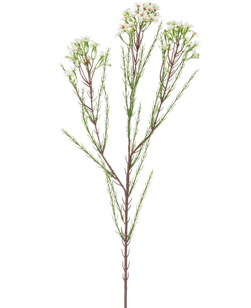 Kunsttak Waxflower 78 cm creme