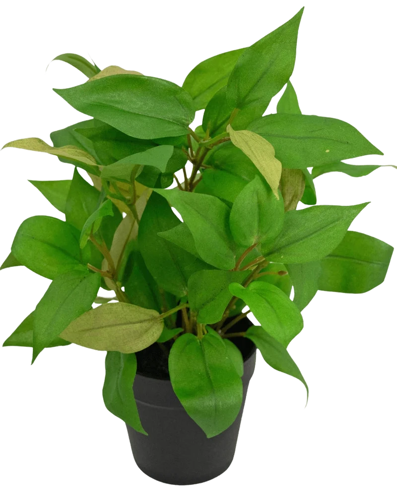 Kunstplant "House Wanderer" in Pot 25cm