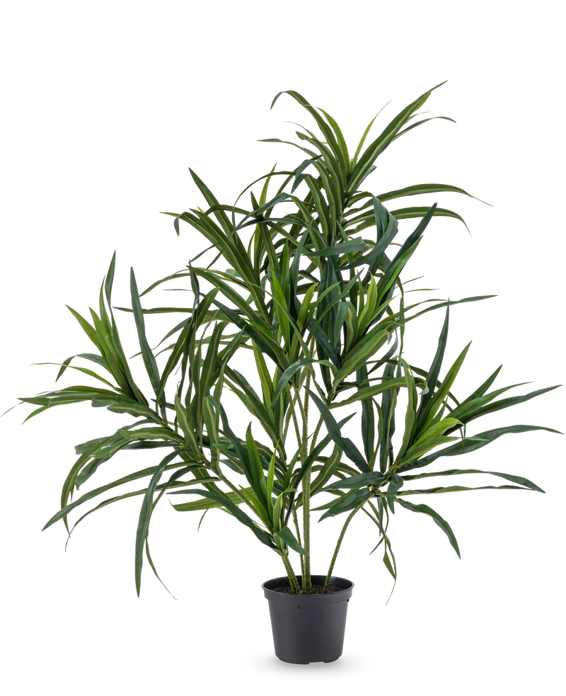 Kunstplant Dracaena Reflexa in pot UV 63 cm