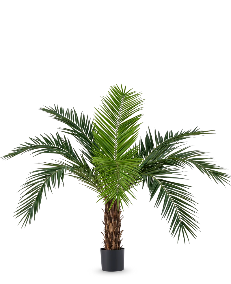 Kunstpalm Phoenix Canarie 160 cm