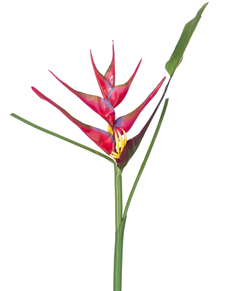Kunstbloem Heliconia 90 cm fuchsia