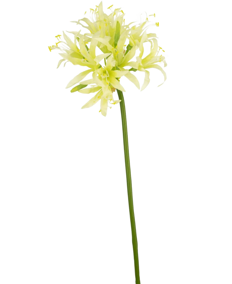 Kunstbloem Nerine 70 cm groen
