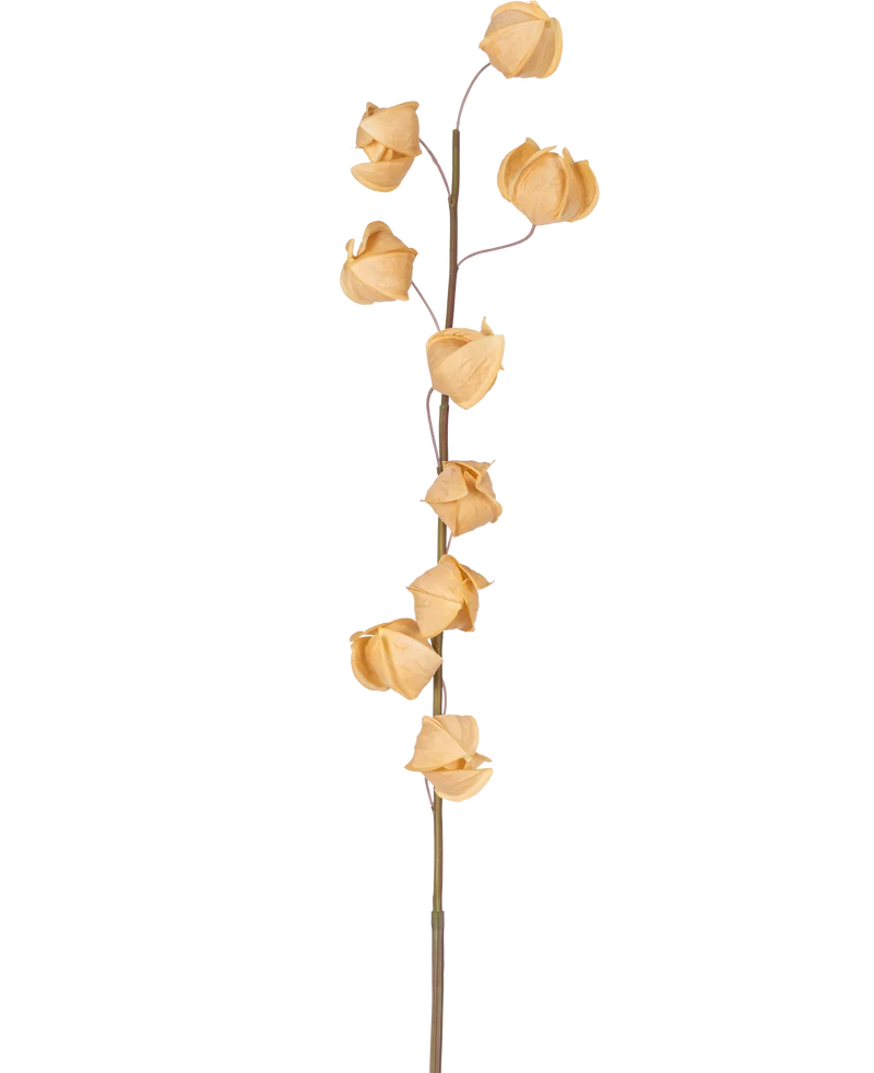 Kunstbloem Physalis Lampion 90 cm bruin