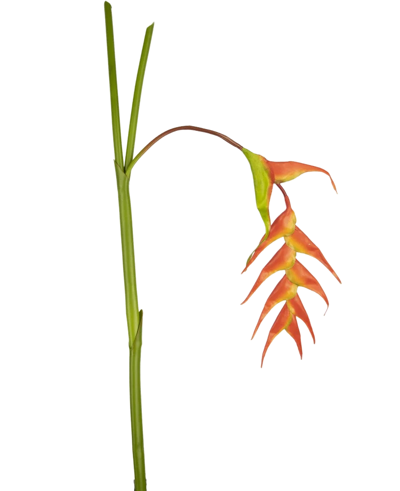 Kunstbloem Heliconia 120 cm rood