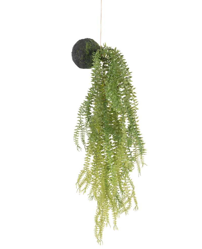 Kunst hangplant Phlegmariurus bal 50 cm