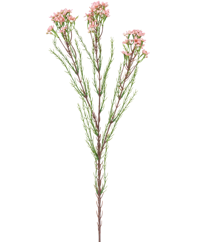 Kunsttak Waxflower 78 cm roze