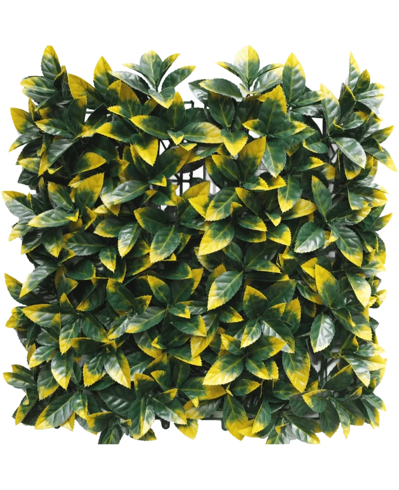 Kunsthaag Photonia geel 50x50 cm UV