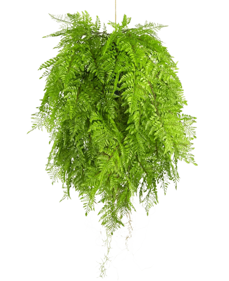 Kunst hangplant Varen met wortels d80 cm met hangsysteem