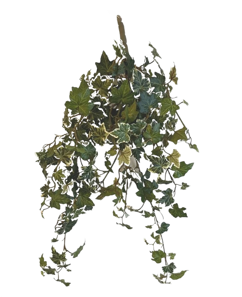 Kunst Klimop Deluxe Groen-wit 60cm