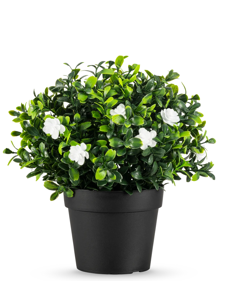 Kunstplant Pumila in pot UV 21cm
