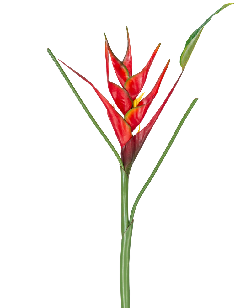 Kunstbloem Heliconia 90 cm rood