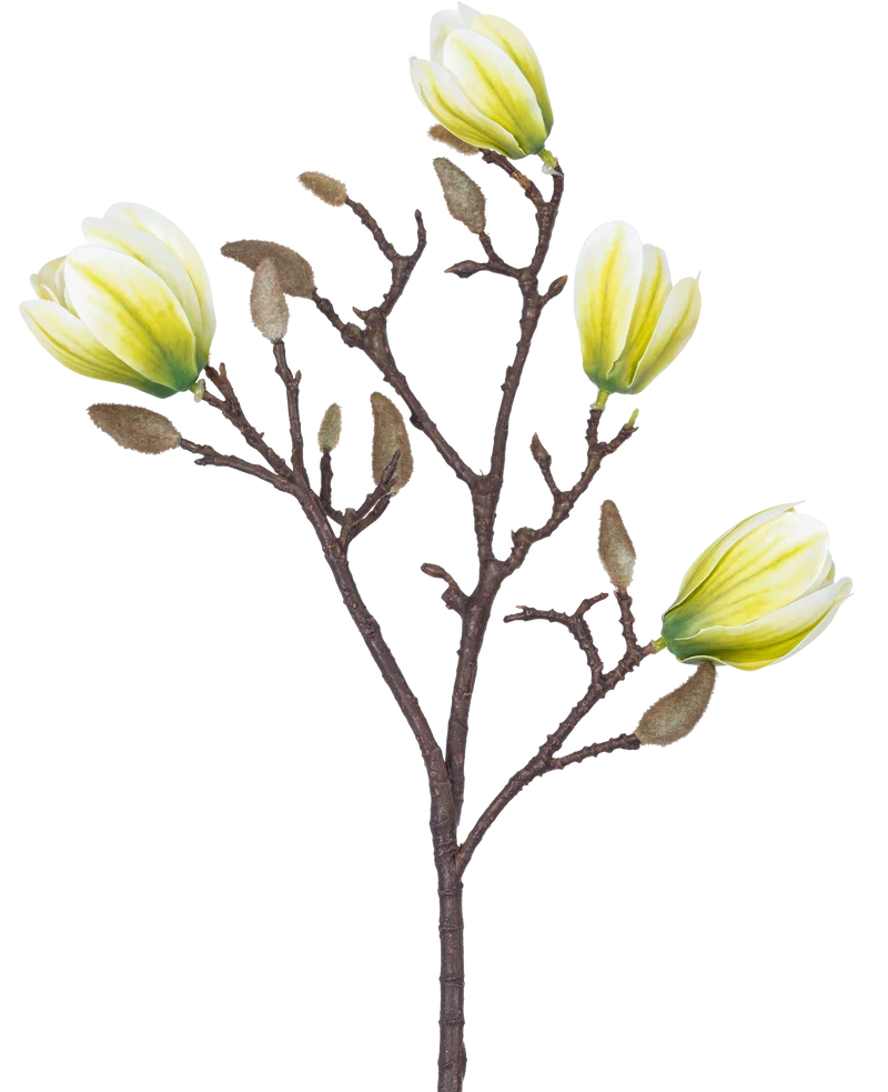 Kunstbloem Magnolia 50 cm wit/groen