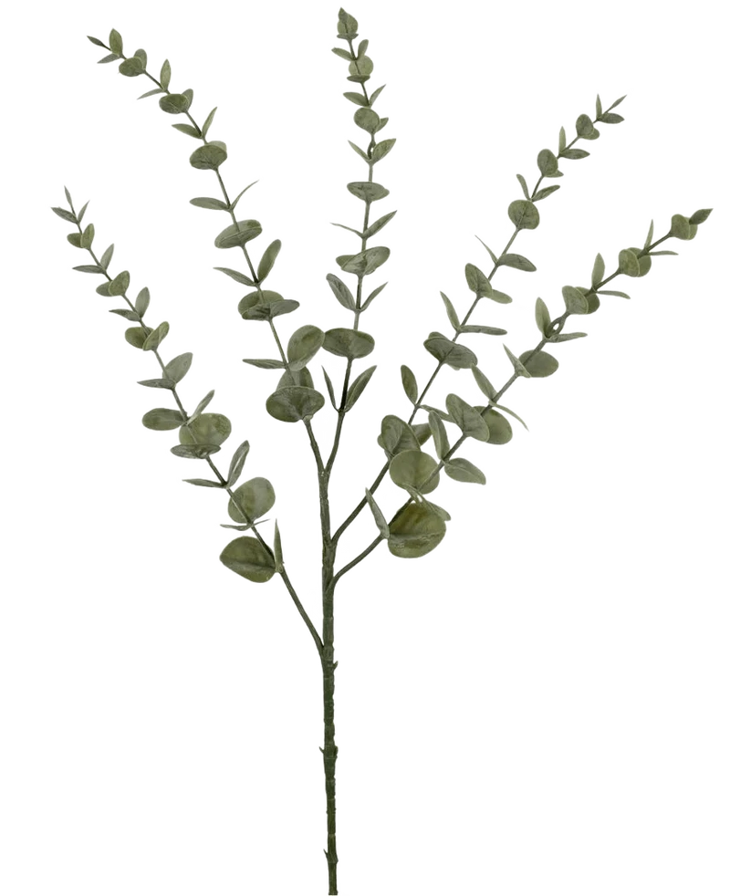 Kunstbloem Eucalyptus Yugali 71 cm