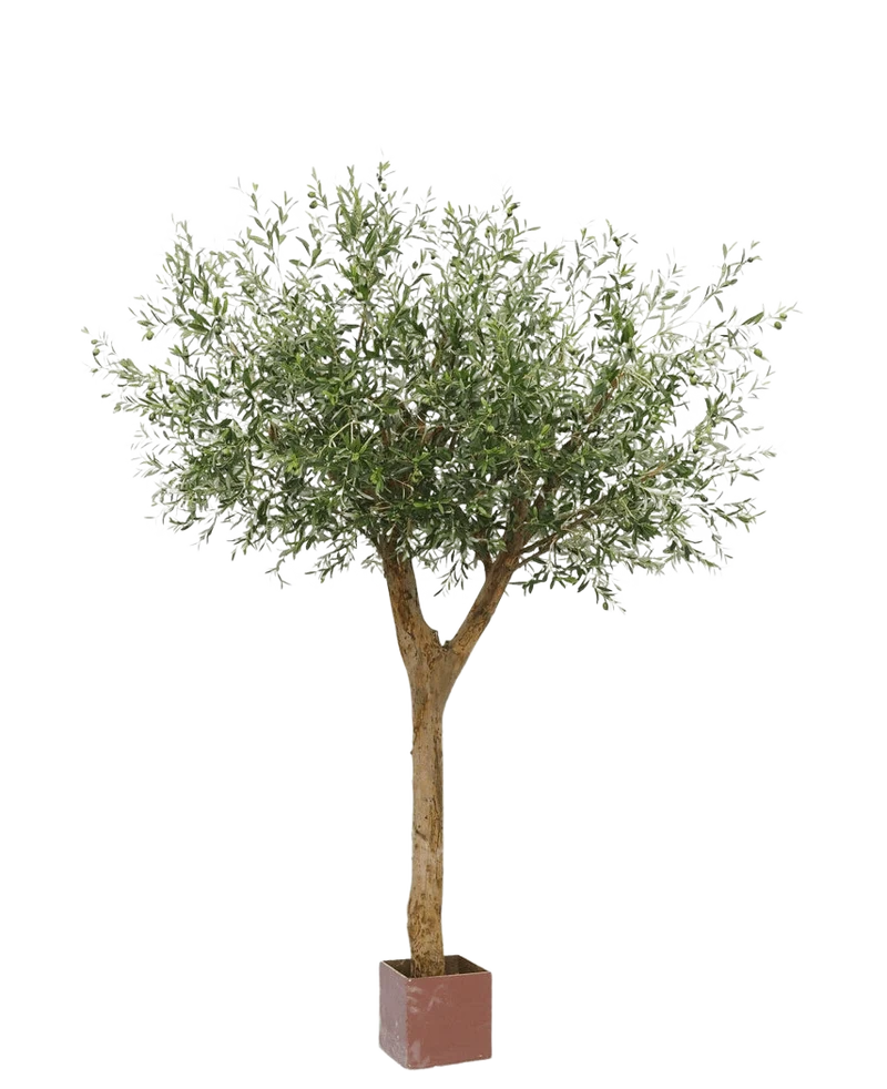 Kunst Olijfboom met olijven 260 cm