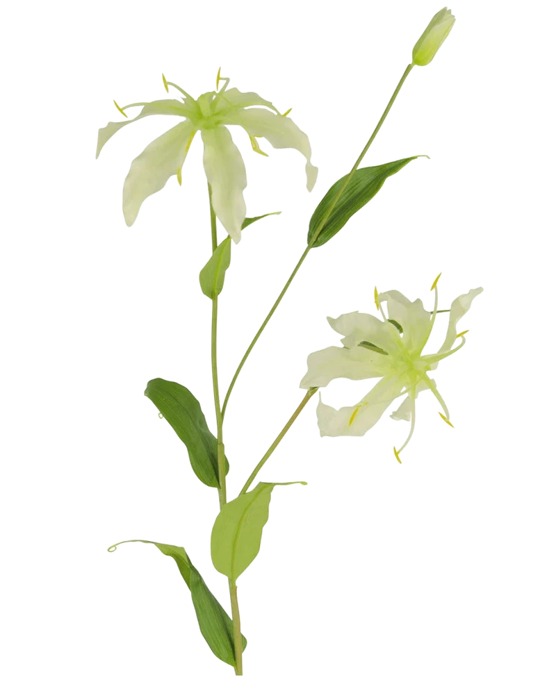 Kunstbloem Gloriosa 81 cm wit